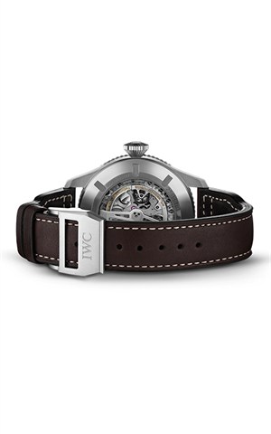 IWC IW395503 Pilot S Watches