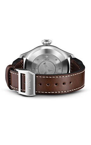 IWC IW501002 Watches