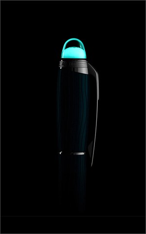 Mont Blanc 132901 Starwalker Fountain Pen Pens