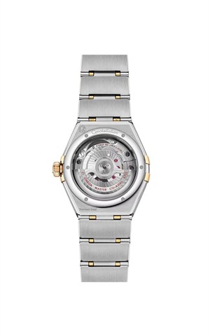 Omega 131.20.29.20.53.001 Constellation Watches
