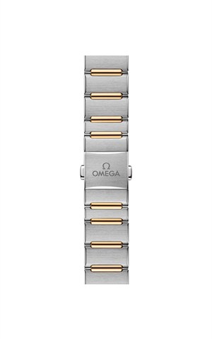 Omega 131.20.29.20.53.001 Constellation Watches
