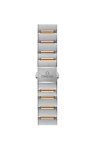 Omega 131.25.29.20.55.002 Constellation Watches