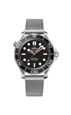 Omega 210.30.42.20.01.018 Diver 300 Erkek Kol Saati