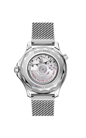 Omega 210.30.42.20.01.018 Diver 300 Erkek Kol Saati