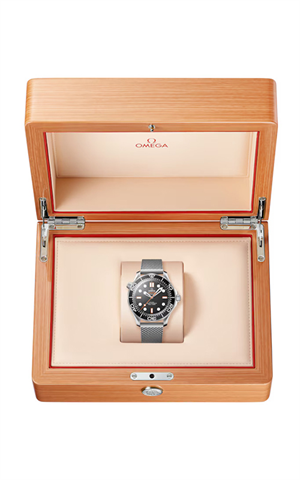 Omega 210.30.42.20.01.018 Diver 300 Erkek Kol Saati