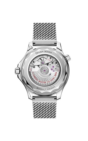 Omega 210.30.42.20.01.010 Seamaster Erkek Kol Saati