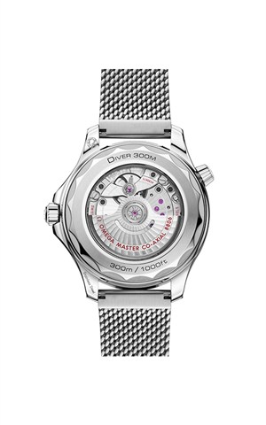 Omega 210.30.42.20.01.010 Seamaster Watches