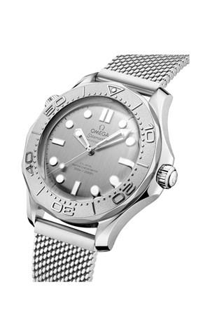 Omega 210.30.42.20.06.002 Diver 300 Erkek Kol Saati