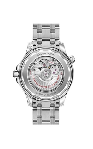 Omega 210.30.42.20.10.001 Seamaster Erkek Kol Saati