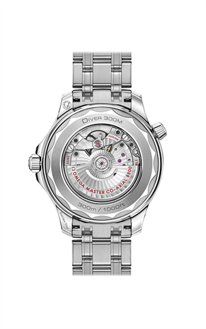 Omega 210.30.42.20.10.001 Seamaster Erkek Kol Saati