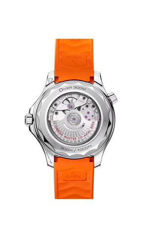 Omega 210.32.42.20.01.006 Diver 300 Erkek Kol Saati