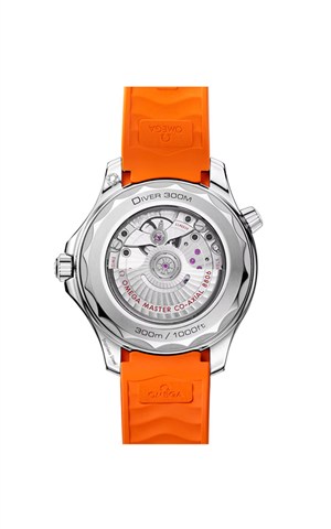 Omega 210.32.42.20.01.006 Diver 300 Watches