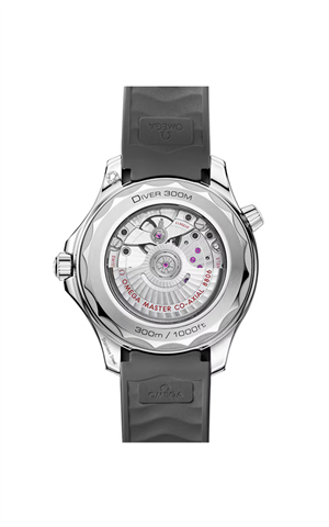 Omega 210.32.42.20.06.002 Diver 300 Erkek Kol Saati