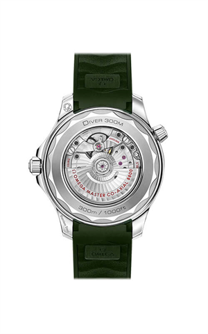 Omega 210.32.42.20.10.001 Seamaster Erkek Kol Saati