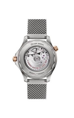 Omega 210.90.42.20.10.001 Diver 300 Erkek Kol Saati