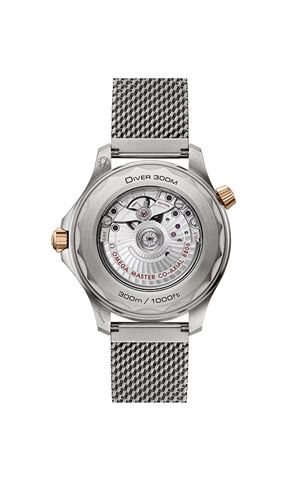 Omega 210.90.42.20.10.001 Diver 300 Erkek Kol Saati