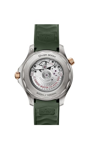 Omega 210.92.42.20.10.001 Diver Watches