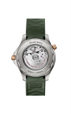 Omega -210.92.42.20.10.001- Kol Saati