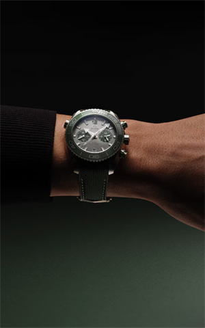 Omega 215.32.46.51.06.001 Planet Ocean Erkek Kol Saati