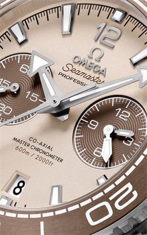 Omega 215.32.46.51.09.001 Planet Ocean Erkek Kol Saati