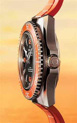 Omega 217.32.42.21.01.004 Planet Ocean Erkek Kol Saati