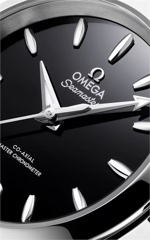 Omega 220.10.34.20.01.001 Watches
