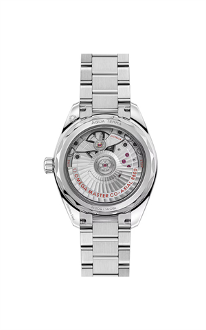 Omega 220.10.34.20.09.001 Aqua Terra Shades Kadın Kol Saati