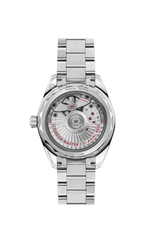 Omega 220.10.34.20.10.001 Aquaterra Kadın Kol Saati