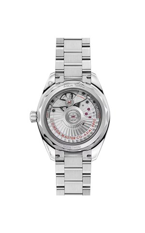 Omega 220.10.34.20.10.002 Aqua Terra Shades Kadın Kol Saati