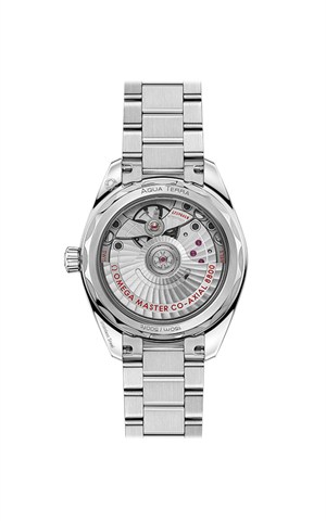 Omega 220.10.34.20.10.001 Aquaterra Watches