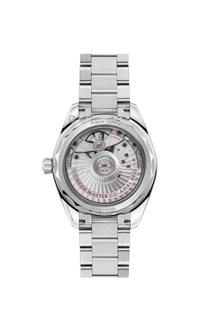 Omega 220.10.34.20.10.002 Aqua Terra Shades Kadın Kol Saati