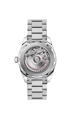 Omega 220.10.38.20.01.004 Aqua Terra 150M Erkek Kol Saati