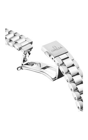 Omega 220.10.38.20.03.005 Aquaterra Erkek Kol Saati