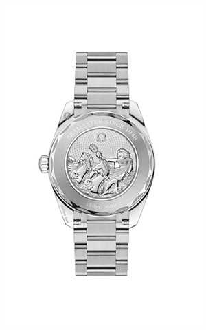 Omega 220.10.38.20.03.004 Seamaster Erkek Kol Saati