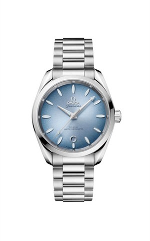 Omega 220.10.38.20.03.004 Aquaterra Erkek Kol Saati