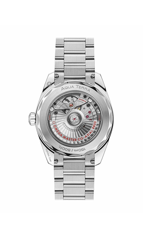 Omega 220.10.38.20.03.003 Seamaster Erkek Kol Saati