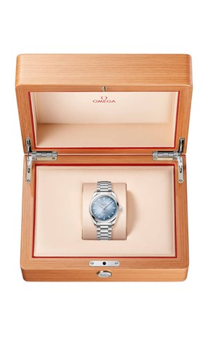 Omega 220.10.38.20.03.004 Seamaster Erkek Kol Saati