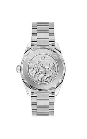 Omega 220.10.38.20.03.004 Aquaterra Watches