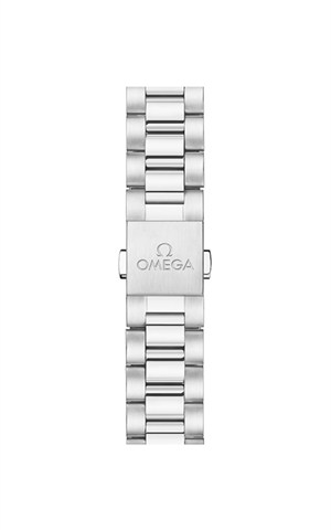 Omega 220.10.38.20.03.005 Aquaterra Watches