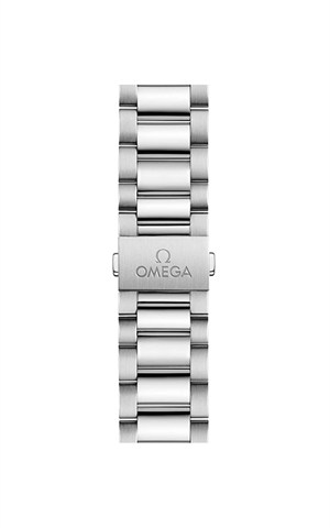 Omega 220.10.38.20.10.003 Aquaterra Watches
