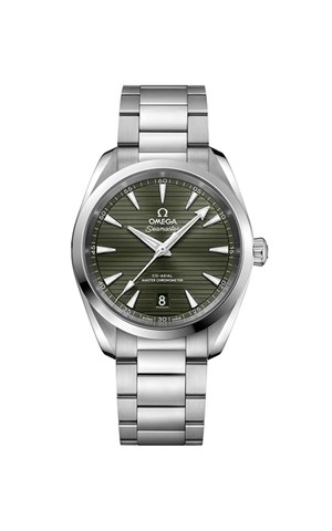 Omega 220.10.38.20.10.003 Aquaterra Erkek Kol Saati