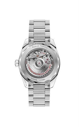 Omega 220.10.38.20.12.001 Aquaterra Watches