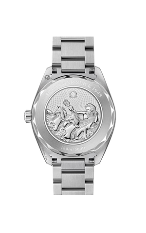 Omega 220.10.41.21.03.005 Seamaster Erkek Kol Saati