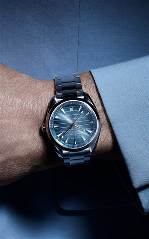 Omega 220.10.41.21.03.005 Seamaster Erkek Kol Saati