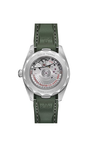 Omega 220.12.38.20.10.001 Seamaster Erkek Kol Saati