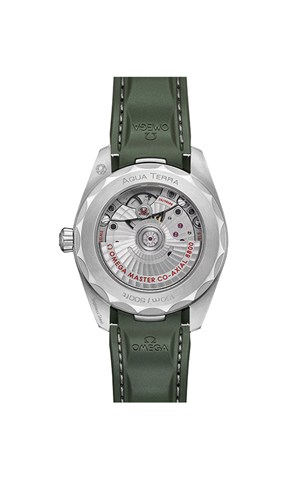 Omega 220.12.38.20.10.001 Seamaster Erkek Kol Saati