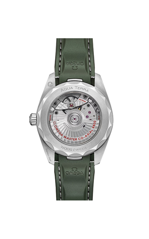 Omega 220.12.38.20.10.001 Seamaster Watches