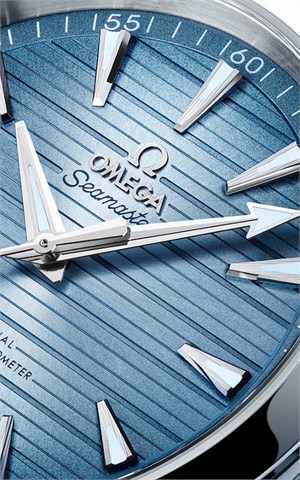 Omega 220.12.41.21.03.008 Watches