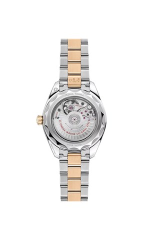 Omega 220.20.30.20.02.001 Watches