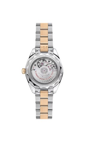 Omega 220.20.30.20.02.001 Aqua Terra 150M Kadın Kol Saati